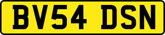 BV54DSN
