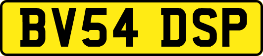 BV54DSP