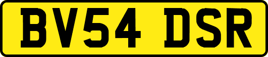 BV54DSR