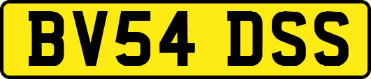 BV54DSS