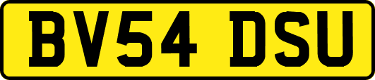 BV54DSU