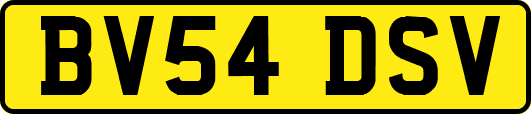 BV54DSV
