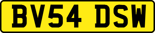 BV54DSW