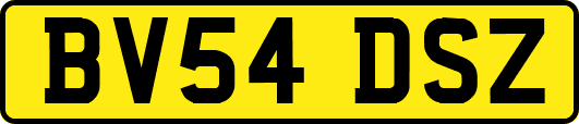 BV54DSZ