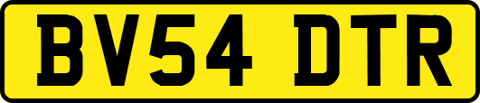 BV54DTR