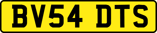 BV54DTS