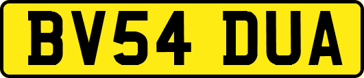 BV54DUA