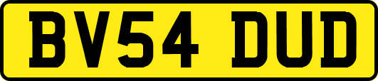 BV54DUD