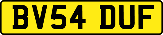 BV54DUF