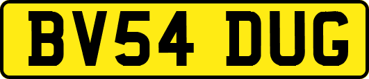 BV54DUG