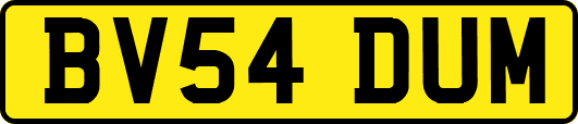 BV54DUM
