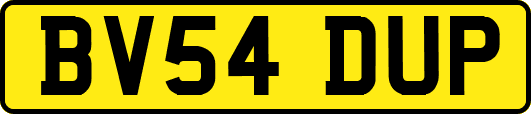 BV54DUP