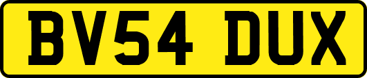 BV54DUX