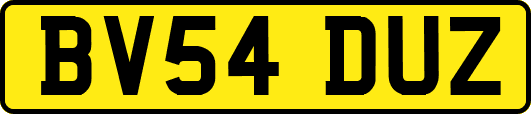 BV54DUZ