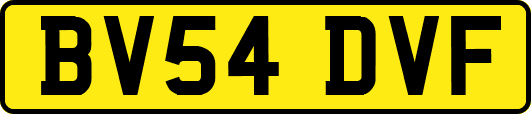 BV54DVF