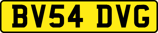 BV54DVG