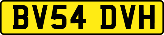 BV54DVH
