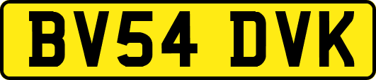 BV54DVK