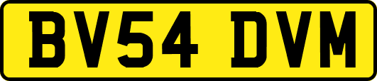 BV54DVM