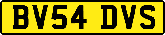 BV54DVS