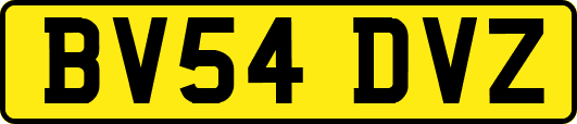 BV54DVZ