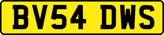 BV54DWS