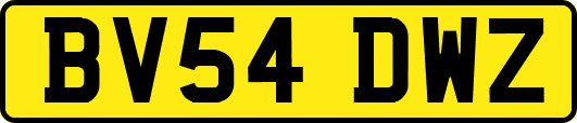 BV54DWZ