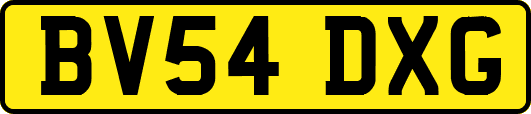 BV54DXG
