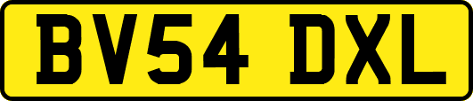 BV54DXL