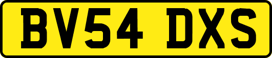 BV54DXS