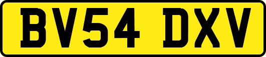 BV54DXV
