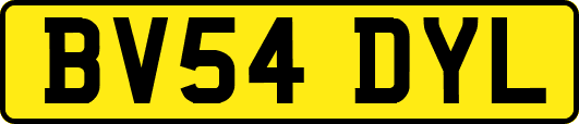BV54DYL