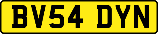 BV54DYN