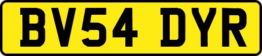BV54DYR