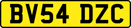 BV54DZC