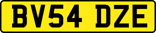 BV54DZE