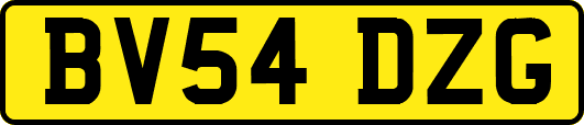 BV54DZG