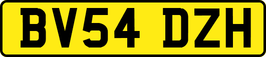 BV54DZH