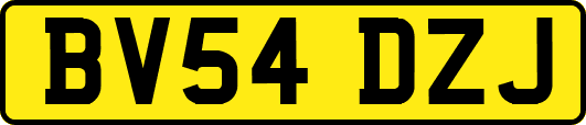 BV54DZJ