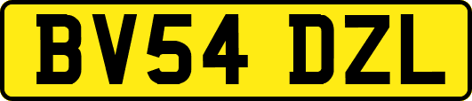 BV54DZL