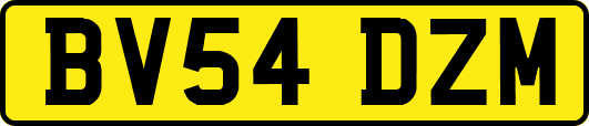 BV54DZM