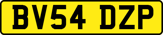BV54DZP