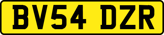 BV54DZR