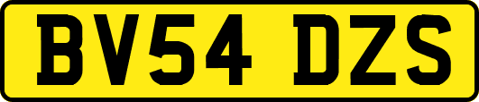 BV54DZS