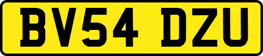 BV54DZU