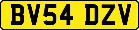 BV54DZV