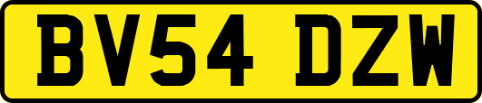 BV54DZW