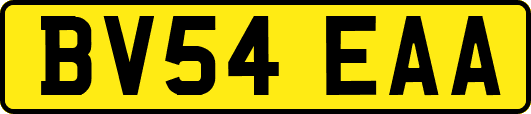 BV54EAA
