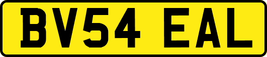 BV54EAL