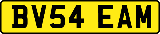 BV54EAM